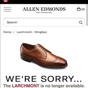 Allen Edmonds Shoes - Allen Edmonds Larchmont Wingtip dress shoes Allen Edmonds Shoes - Allen Edmonds Larchmont Wingtip dress shoes